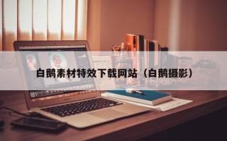 大理白鹅素材特效下载网站（白鹅摄影）